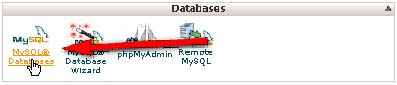 MySQL Databases