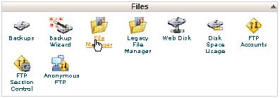 File Manager